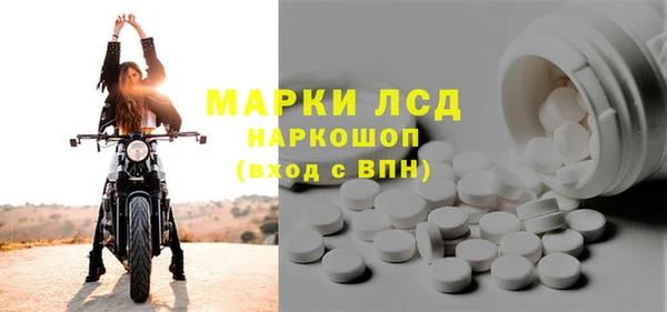 стафф Аркадак