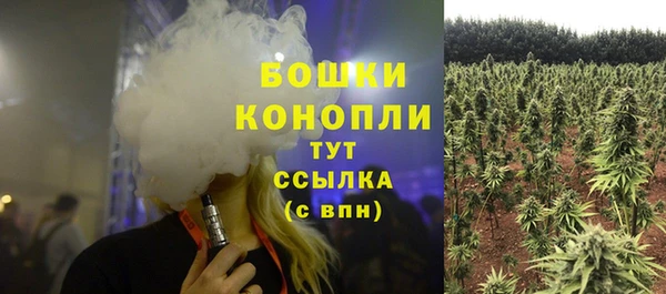 стафф Аркадак