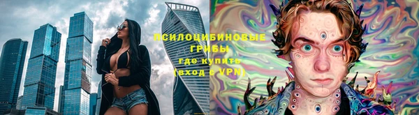 стафф Аркадак