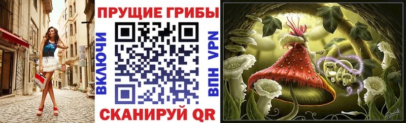 что такое   Коряжма  Псилоцибиновые грибы прущие грибы 